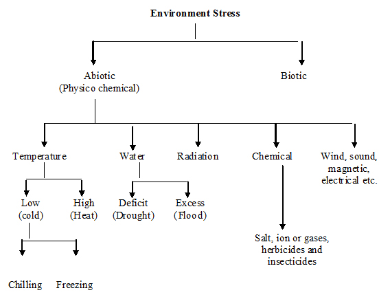 Stress Management Chart