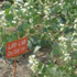 Garden Lab Lab