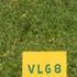 Horsegram