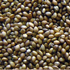 Tenai
