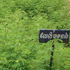 Velimasal