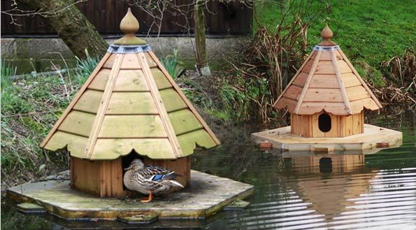 Duck Shed