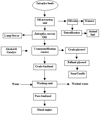 Biodiesel Process Flow Chart