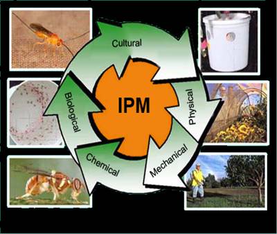 Ipm Images