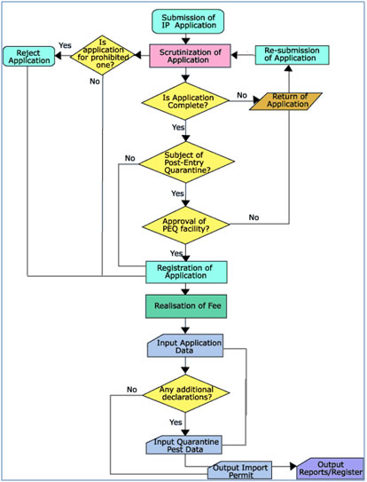 Import And Export Process Flow Chart