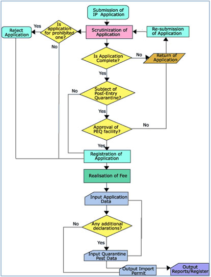 Import Export Flow Chart Procedure