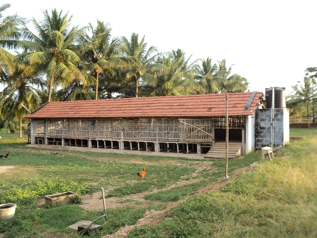 The roof may be made gabled. The roofing material may be either plain