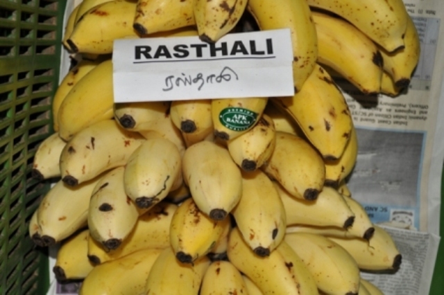 Horticulture Fruits Banana