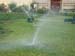 Sprinklers for lawn grass