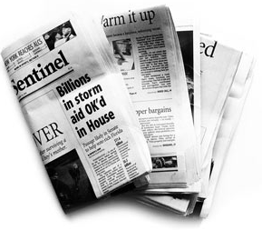 Newspaper