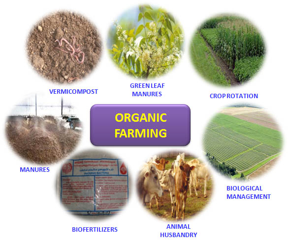 Chart On Modern Farming Methods