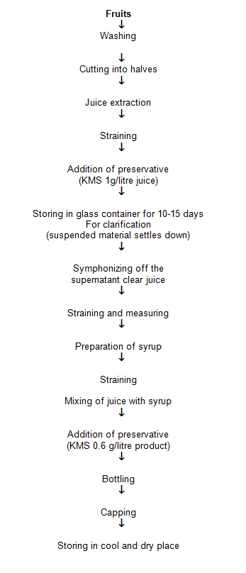 Pineapple Juice Processing Flow Chart