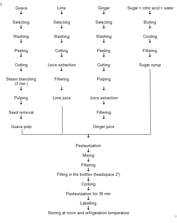 Ginger Processing Flow Chart