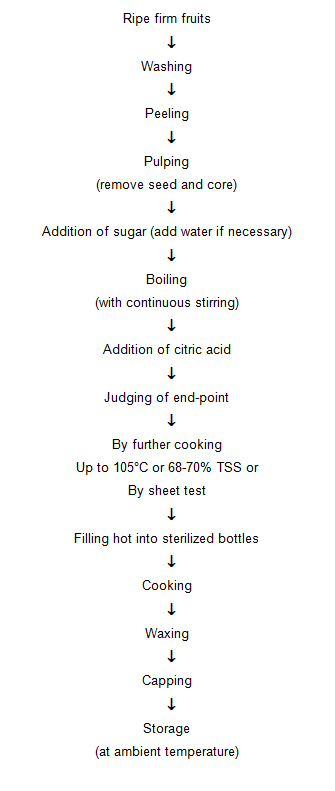 Fruit Juice Processing Flow Chart