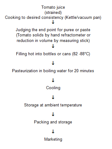 Tomato Sauce Production Flow Chart