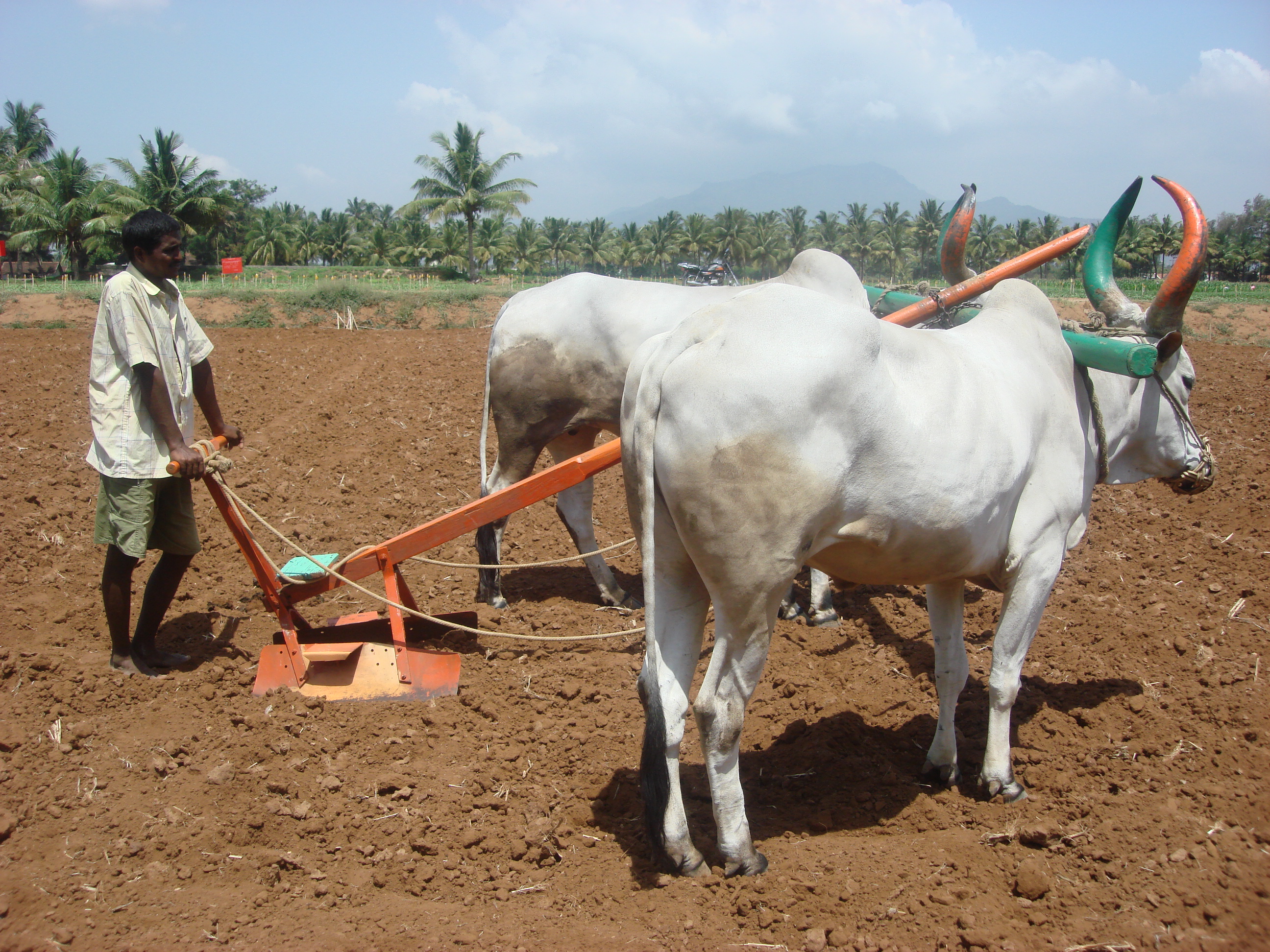 Land meaning. Seedbed Tillage Machines.