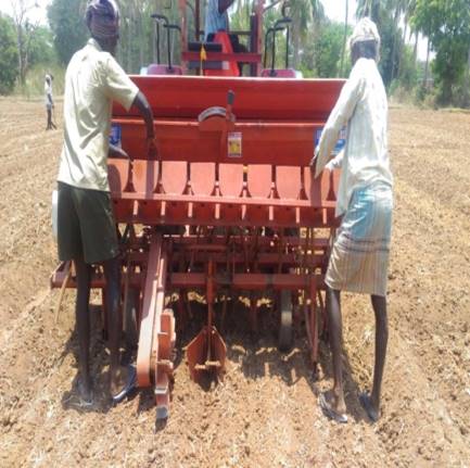 Crop Production :: Cereals :: Rice :: Dryseeded Rainfed- Suppl Irri