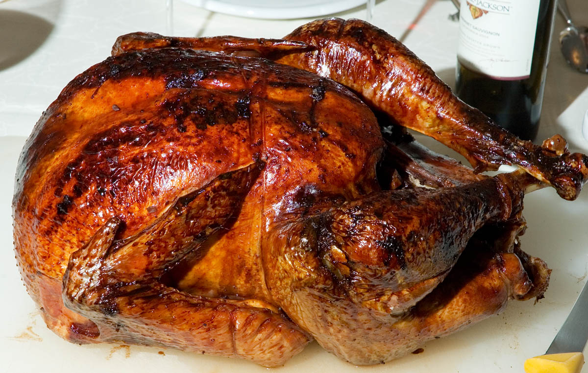 Poultry:: Turkey:: Management Animal Husbandry :: Home