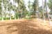 1. Nursery area between coconut