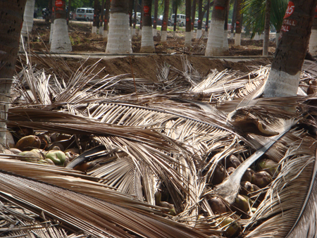 storage in erated condition