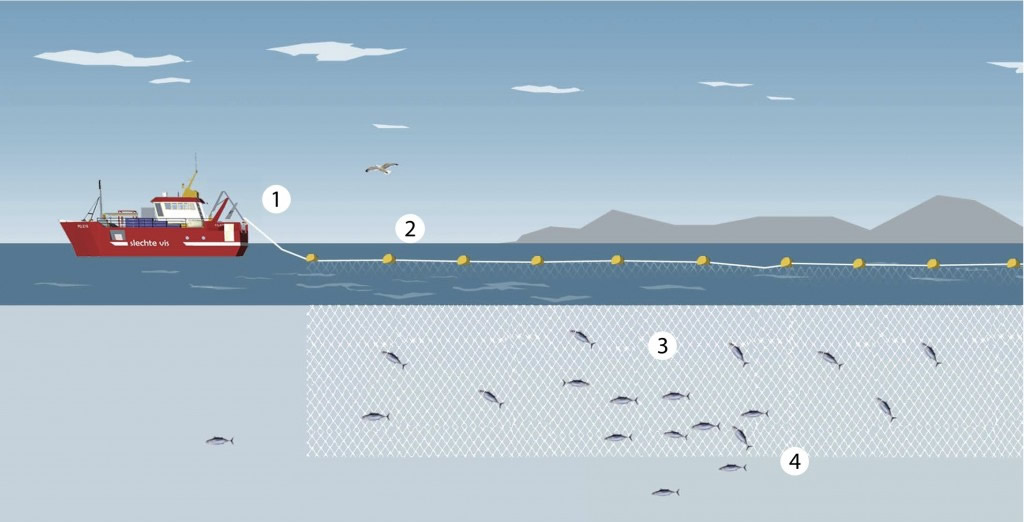 Passive Gill Net Fishing for Survival