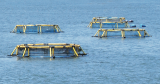https://agritech.tnau.ac.in/fishery/images/marine_cage/marine_cage5.png