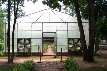 Greenhouse front view