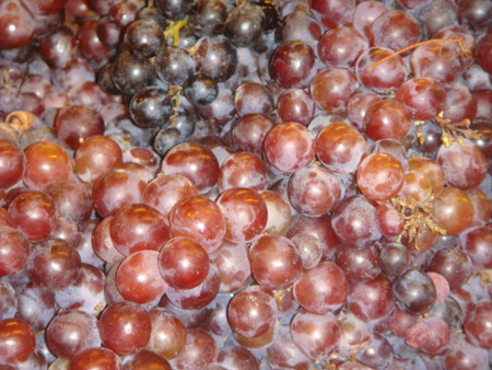 Grapes