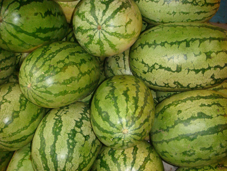 Watermelon