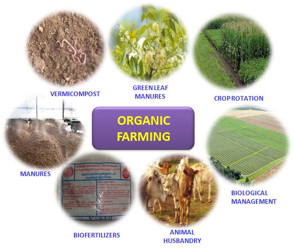 ORGANIC FARMING :: Basic Steps of Organic Farming