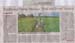 ricecampaign_Page_2