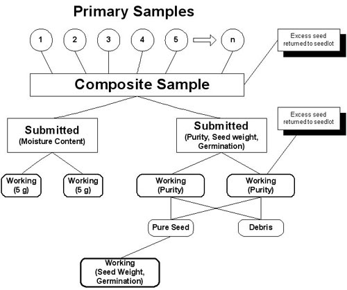 Primary Samples
