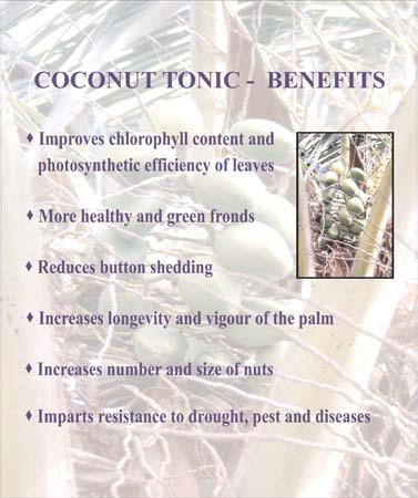 Coconut tonic benefits English