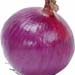 N - Onion