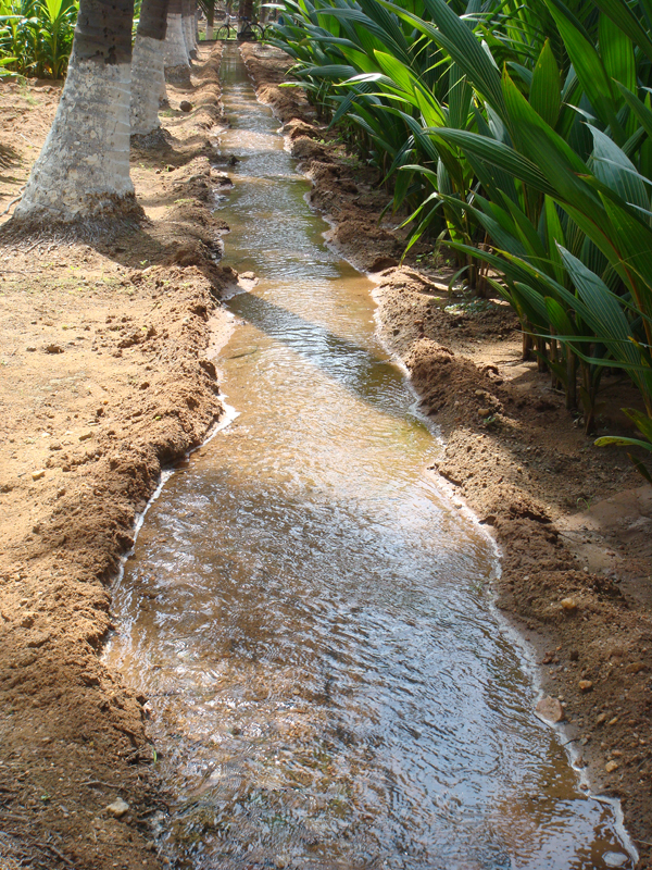 2. Irrigation channel 1