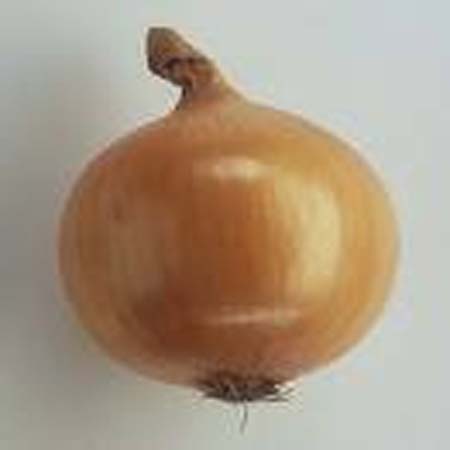 Cu - Onion