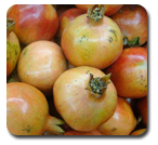 Pomegrante