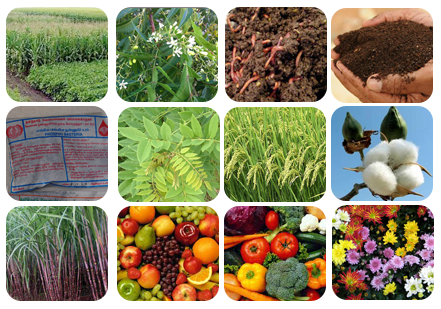 Organic Farming Practices