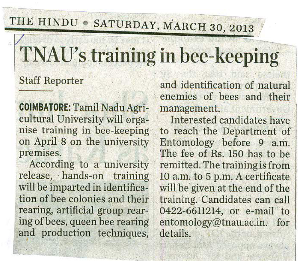 tnaunewsapril2013 (4)