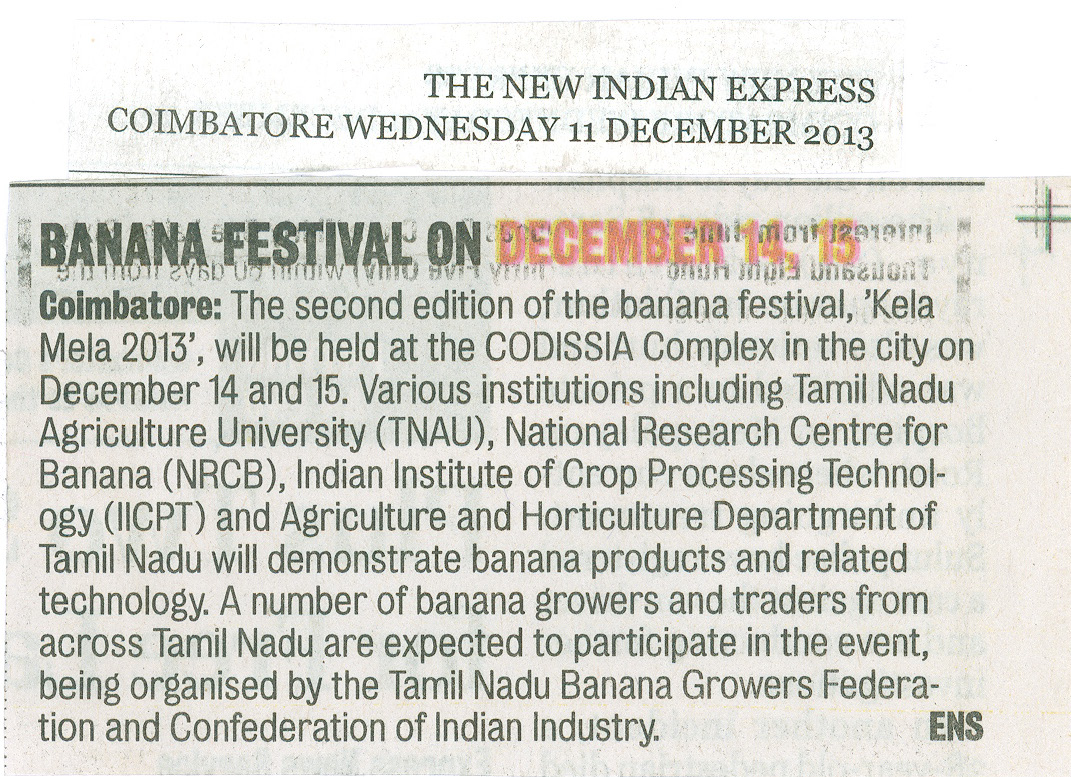 tnaunewsdec2013 (3)