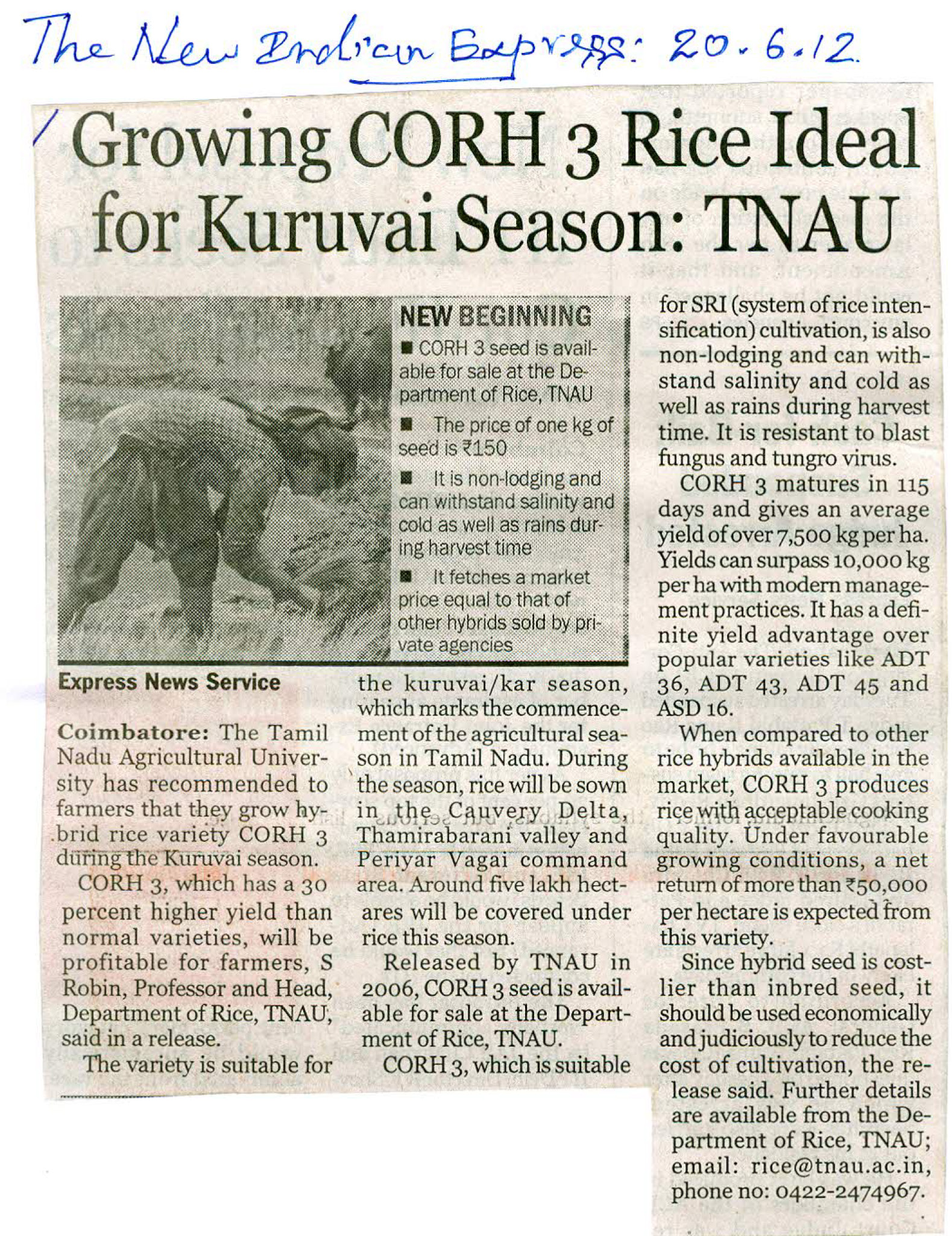 tnaunewsjune2012 (27)